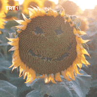 Happy Good Morning GIF by TRT