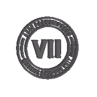 Trance Music Sticker by VII