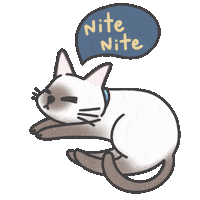 Sticker gif. Illustrated Siamese cat has its eyes closed and its tail wags ever so slightly. Navy text bubble coming out of it reads, 'Nite nite.'
