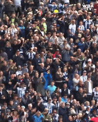 West Brom Football GIF by West Bromwich Albion