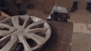 Show GIF by Ay Yapım