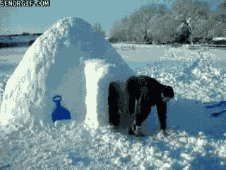 Snow Igloo GIF by Cheezburger