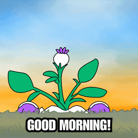 Happy Good Morning GIF by Magic Eden
