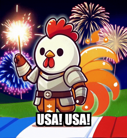 Usa Usa Celebrations GIF by Zorooster