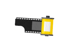 Swipe Up Film Camera Sticker by Ted's Cameras