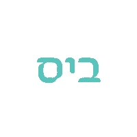 bepita bigmind בפיתה ביג מיינד כל ביס חגיגה Sticker