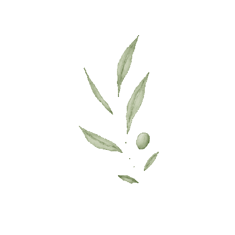 oakandstone giphygifmaker olive farmhouse olivebranch Sticker