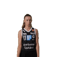 Basketball Sticker by Borås Basket