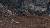 Landscaping Grading GIF by JC Property Professionals