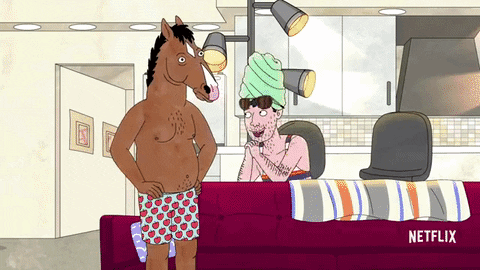 TV gif. Todd and BoJack from BoJack Horseman are in an apartment. We pan in as BoJack takes sunglasses from Todd's face, puts them on, and proudly puts his hand on his hip as he says, "Awesome."