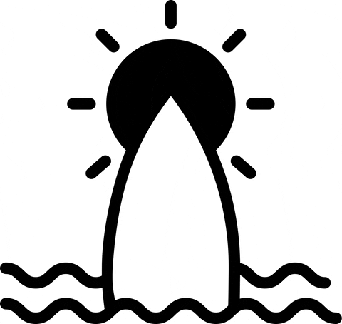surf surfboards GIF