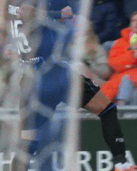 Supporters Blauw-Zwart GIF by Club Brugge