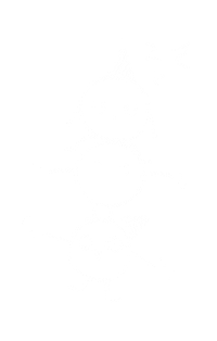 Supremopolis Sticker