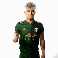 Portland Timbers Sport GIF by Timbers