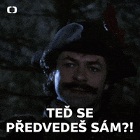 Ceska Televize GIF