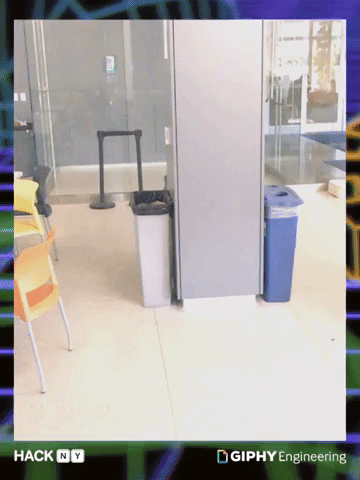 GIF by hackny