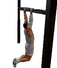 Fitness Workout Sticker by BODi