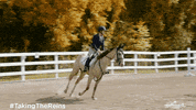 Jump Horse GIF by Hallmark Channel