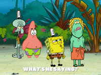 season 6 GIF by SpongeBob SquarePants