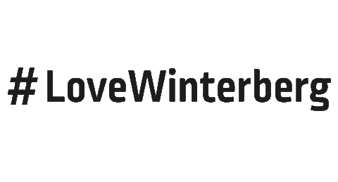 ferienweltwinterberg giphyupload Sticker