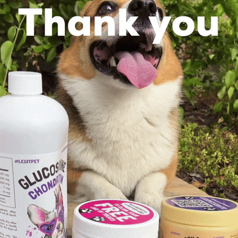 Dog Thank You GIF