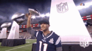 New England Patriots Football GIF by NFL