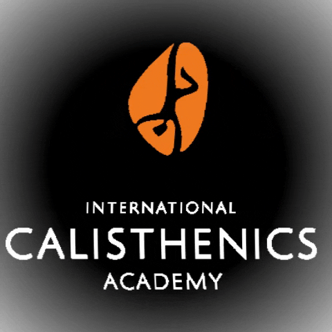 calisthenics-academy giphygifmaker calisthenics calisthenicsacademy calisthenics academy GIF