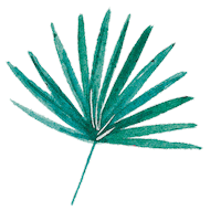 coco bali Sticker by Camille Florès