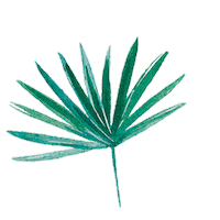 coco bali Sticker by Camille Florès