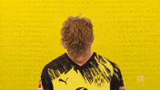 Look Up Borussia Dortmund GIF by Bundesliga