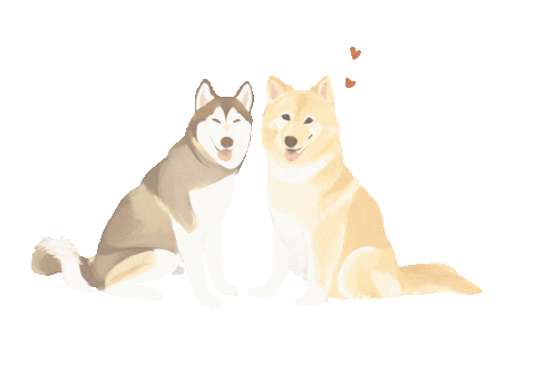Cbcat Sticker