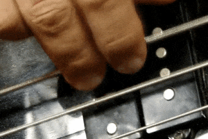 bassist bassplayer GIF by Rockbadger Productions