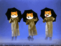 Money Crypto GIF by Baby Doge Coin