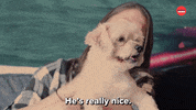 Dogs International Dog Day GIF by BuzzFeed