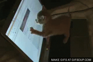 computer GIF