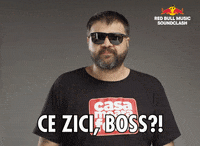 soundclash soundclashromania GIF by Red Bull