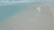 beach GIF