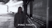 GIF by David