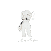 breadcrumbsclub puppy hades smores golden doodle Sticker