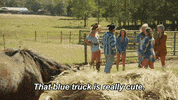 Dating Love GIF by Reality Club FOX
