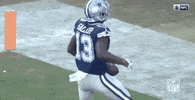 2018 Nfl Football GIF by NFL