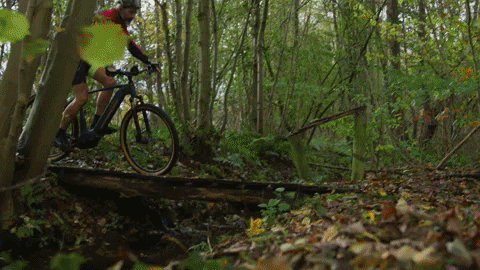 E-Bike GIF by Stella