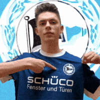 Arminia Bielefeld Goal GIF