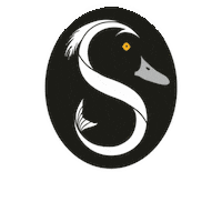 Way Of Life Fishing Sticker by Saltwater_italy