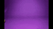 Birthday Cake Chocolate GIF by j.a.c.k.i.e.l.a.n.d
