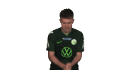 Fifa Wolfsburg Sticker by Bundesliga