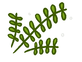 Plant Tree Sticker by Julia Gluyas