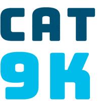 ciscoengemojis security engineering networking cisco GIF