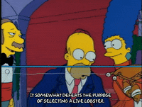 Season 1 Episode 13 GIF by The Simpsons