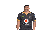 Rugby Sticker by Wasps